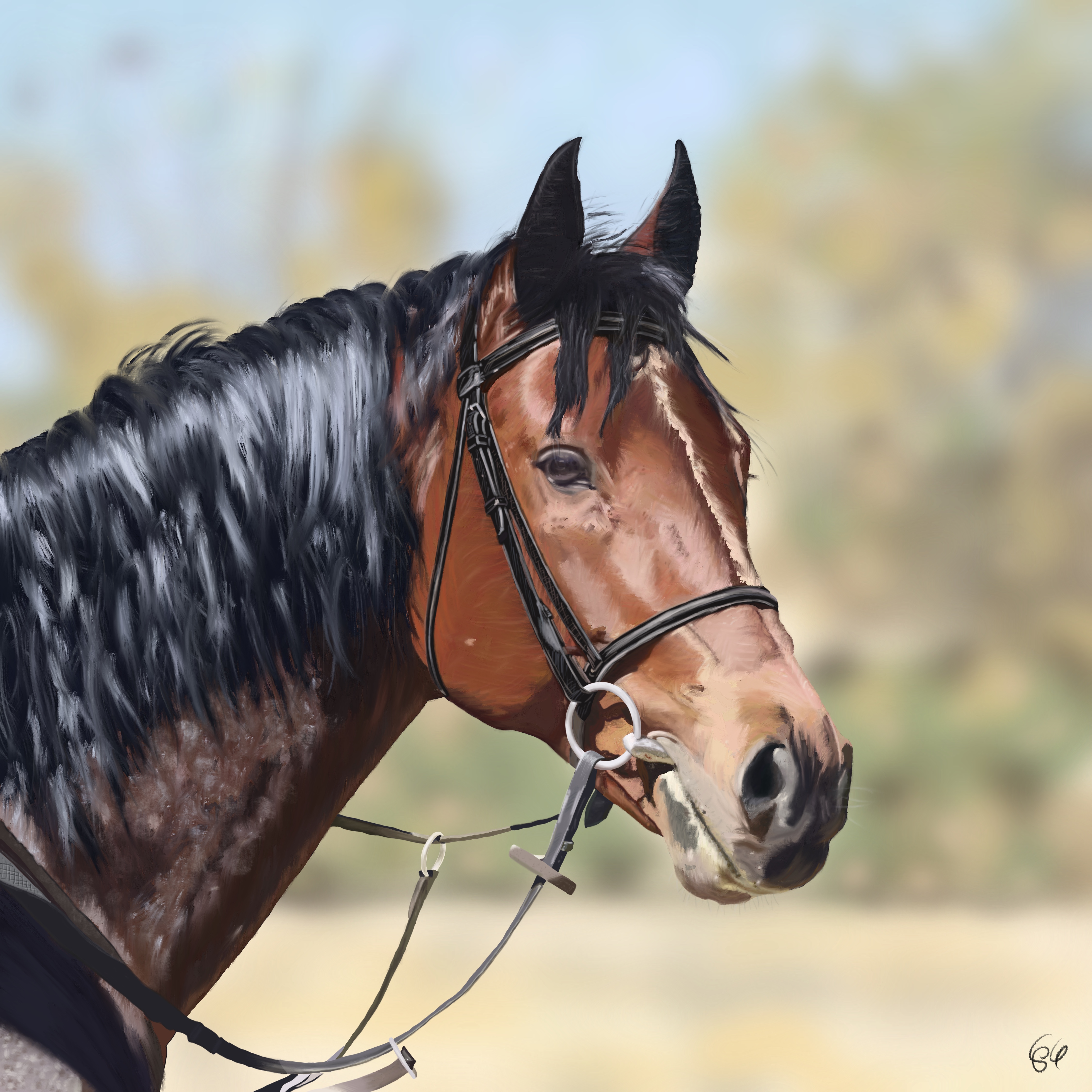 Horse Commission by Gavin Kaufman